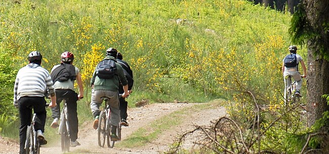 elektrische fiets batterij