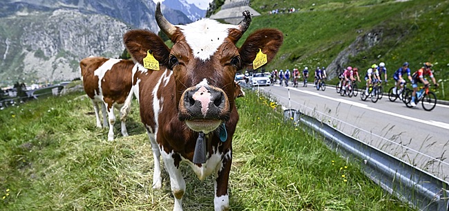 Ronde van Zwitserland 2024: parcours en favorieten – dit kun je verwachten